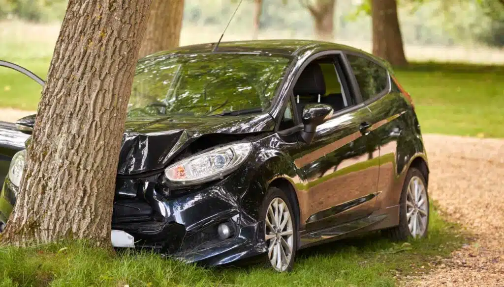 Car Crashed into a Tree